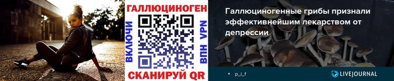 хочу   Кирс  Псилоцибиновые грибы мухоморы 